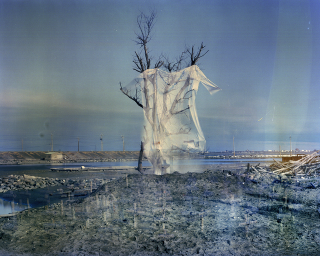 Hsu Ching-Yuan, ‘Shapes of Existence #119’, 2018, Photography, Archival pigment print on CANSON BARYTA PRESTIGE 340gsm, Galerie Frédéric Moisan