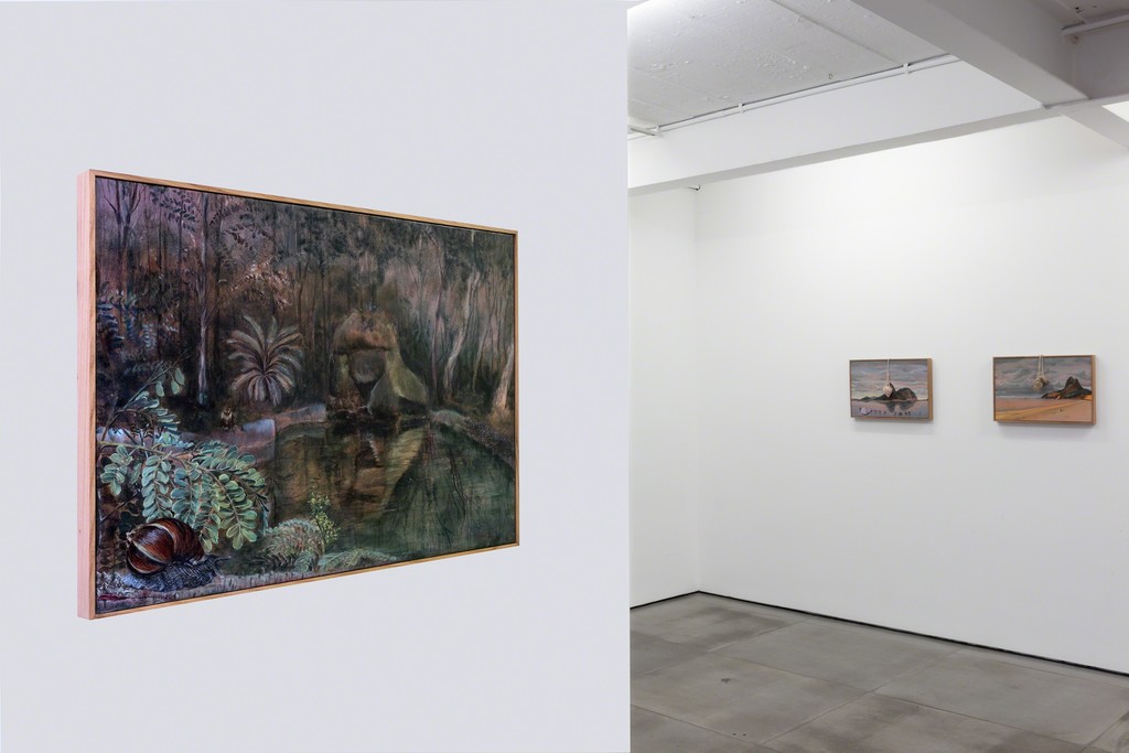 alberto baraya: estudios comparados de paisaje -- exhibition view -- galeria nara roesler | rio de janeiro 2018 -- photo © Pat Kilgore, courtesy of the artist and Galeria Nara Roesler alberto baraya: estudios comparados de paisaje -- exhibition view -- galeria nara roesler | rio de janeiro 2018 -- photo © Pat Kilgore, courtesy of the artist and Galeria Nara Roesler