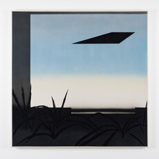 Dony Cheng Hung