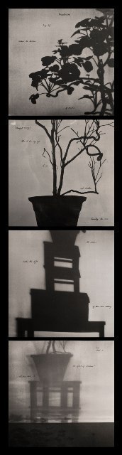 Neha Choksi, ‘Photosyntax’, 2007/2012
, Project 88