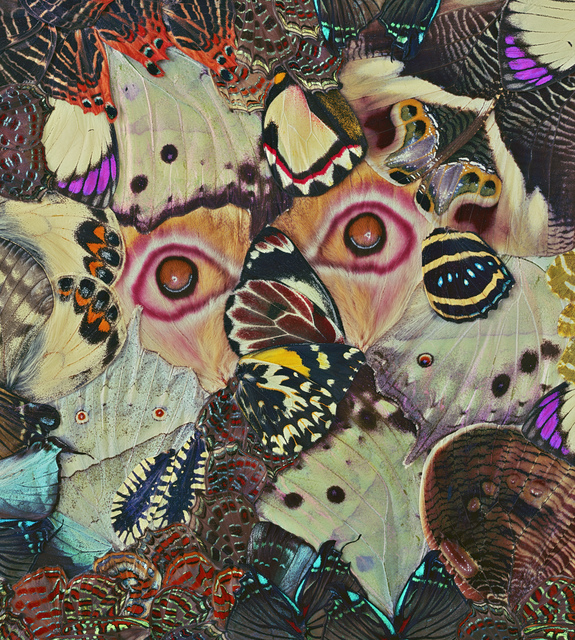 Nathalia Edenmont, ‘Beyond’, 2015-2019, Photography, C-print Mounted Onto Glass, Wetterling Gallery