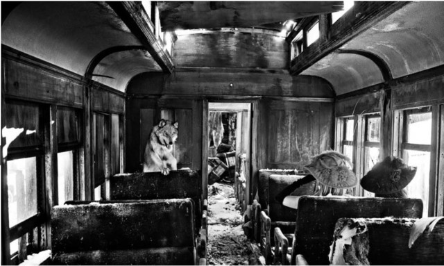 David Yarrow, ‘Ride the Ghost Train’, Photography, Visions West Contemporary