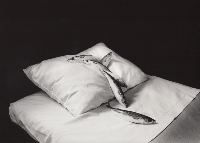 Michiko Kon (今 道子), ‘Mackerel & Pillow’, 1979, Robert Mann Gallery