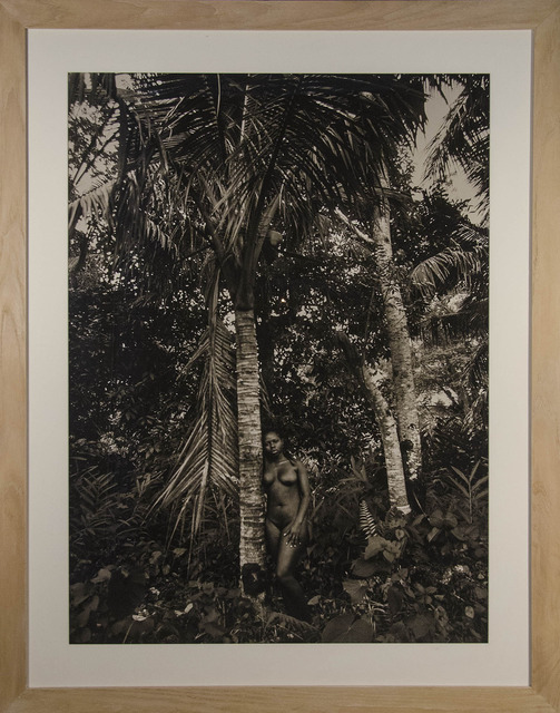 Renee cox essay 06 image