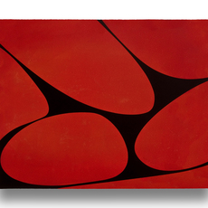 Gary Paller