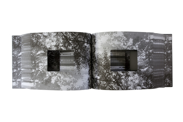 Lucia Mindlin Loeb, ‘MEMÓRIA FOTOGRÁFICA (PHOTOGRAPHIC MEMORY)’, 2013, Galeria Marília Razuk