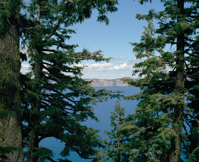 Maria Passarotti, ‘Concealed Vista’, 2007, Susan Eley Fine Art