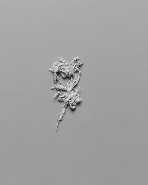N. Dash, ‘Untitled’, 2014, Hammer Museum