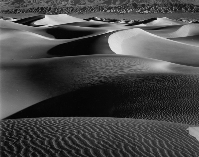 Brett Weston, ‘Dune’, ca. 1960, Photography, Vintage silver gelatin contact print, Michael Hoppen Gallery
