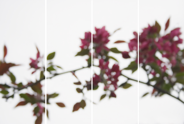 Jeri Eisenberg, ‘Crabapple’, 2008, Carrie Haddad Gallery