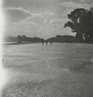 Parcs [enfants aux pigeons et groupe] - Mère et ses deux enfants