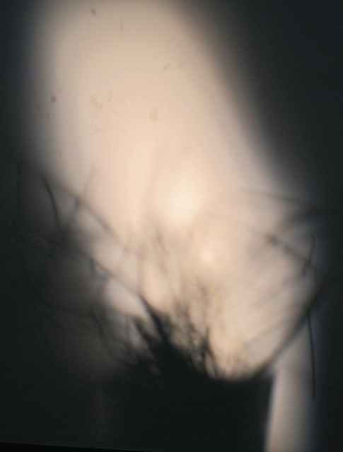 p(R)ojectR® Heart Logo Parker Valentine Valentine's – Parker on the Porch