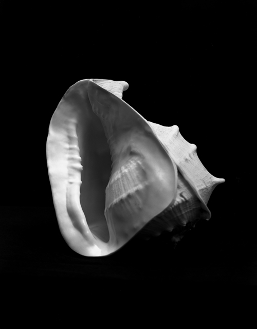 Esther Teichmann, ‘Untitled’, 2015, Photography, Silver gelatin fibre based print, Galerie Les filles du calvaire