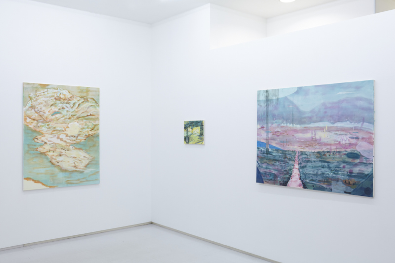 Installation view from "Sky-Eye Weaver" 8/ ART GALLERY/ Tomio Koyama Gallery, 2016 ©Yuka Kashihara, photo by Kenji Takahashi
Installation view from "Sky-Eye Weaver" 8/ ART GALLERY/ Tomio Koyama Gallery, 2016 ©Yuka Kashihara, photo by Kenji Takahashi