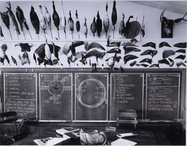 Catherine Wagner, ‘7th & 8th Grade Science Classroom, Moss Landing Elementary School’, 1984, di Rosa