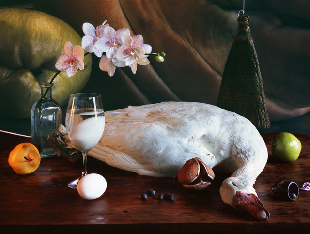 Vera Mercer, ‘White Goose’, 2009, Galerie Jordanow