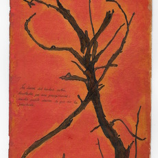 Valentino Cortazar