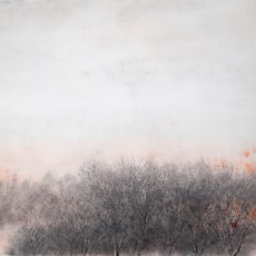 Terence Tan 陈智华
