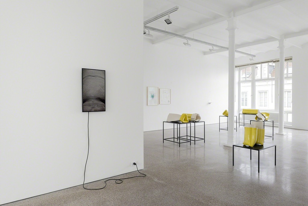 Installation view, Joe Zorrilla, 2017, Galerie Greta Meert Installation view, Joe Zorrilla, 2017, Galerie Greta Meert