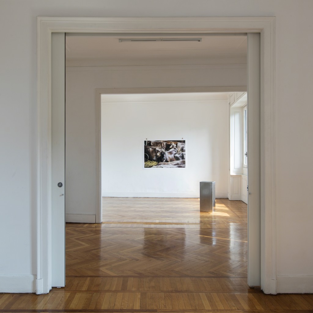 Tiziana Pers, CAPUT CAPITIS I, 2019. Installation view at aA29 Project Room Milano. Photo by Antonio Maniscalco. Tiziana Pers, CAPUT CAPITIS I, 2019. Installation view at aA29 Project Room Milano. Photo by Antonio Maniscalco.