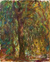 Saule pleureur or L'Arbre de feu