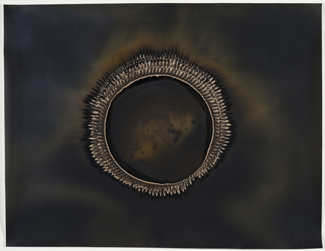Christopher Colville, ‘Ouroboros 4 ’, 2016, Etherton Gallery
