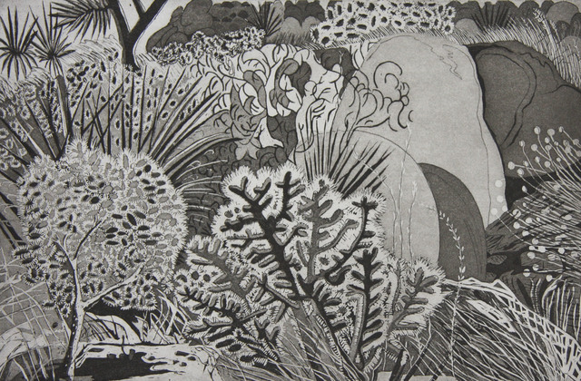 Kate Crook, ‘Joshua Tree #3’, 2017, Print, Lithograph , Ed. 50 , Somerset White paper, acid free, Asher Grey Gallery