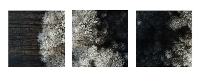 Kacper Kowalski, ‘Untitled (Winter Trees Triptych)’, 2017-2018, Photography, Archival pigment prints, Galerie XII