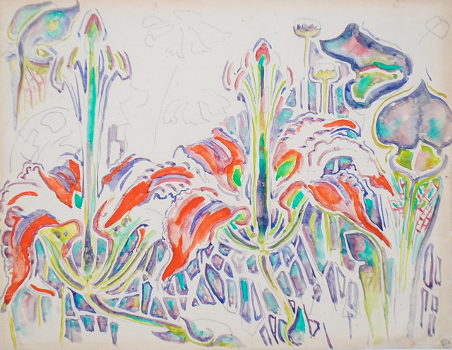 Walter Anderson, ‘Red Wood Lilies and Pitcher Plants’, Amanda Winstead Fine Art