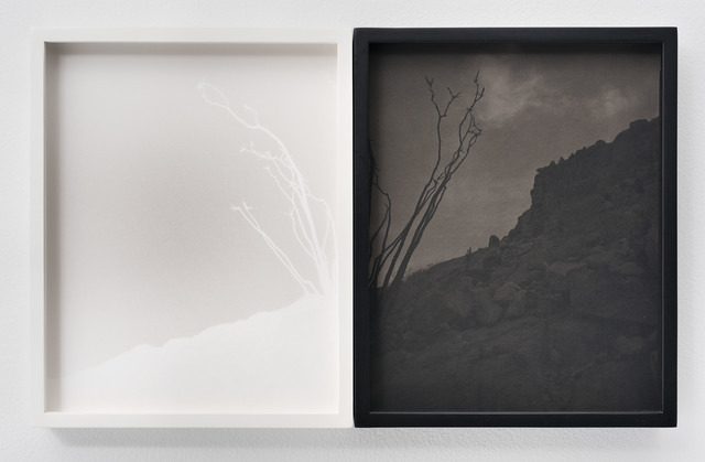 Scott B. Davis, ‘Ocotillo, Ocotillo (No. 58)’, 2018, EUQINOM Gallery
