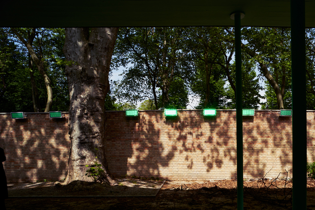 Pamela Rosenkranz, ‘Our Product (Installation view)’, 2015, 56th Venice Biennale