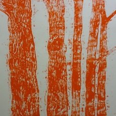 Meghan Gerety