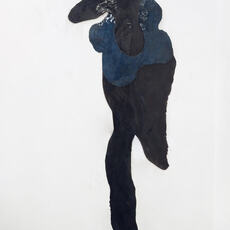 Sara Gernsbacher