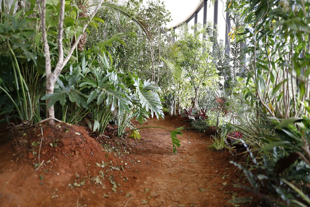 João Modé (Resende, RJ, 1961)
Land, 2014-17
Plantas, terra, obras e materiais diversos / Plants, soil, works, and various materials
Dimensões variáveis / Variable dimensions
Coleção do artista / Artist’s collection João Modé (Resende, RJ, 1961)
Land, 2014-17
Plantas, terra, obras e materiais diversos / Plants, soil, works, and various materials
Dimensões variáveis / Variable dimensions
Coleção do artista / Artist’s collection