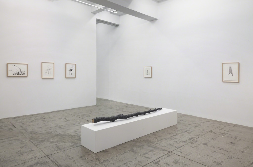 Giuseppe Penone: Indistinti confini/ Indistinct Boundaries; Installation View; Marian Goodman Gallery, New York; March 18 – April 25, 2015 Giuseppe Penone: Indistinti confini/ Indistinct Boundaries; Installation View; Marian Goodman Gallery, New York; March 18 – April 25, 2015