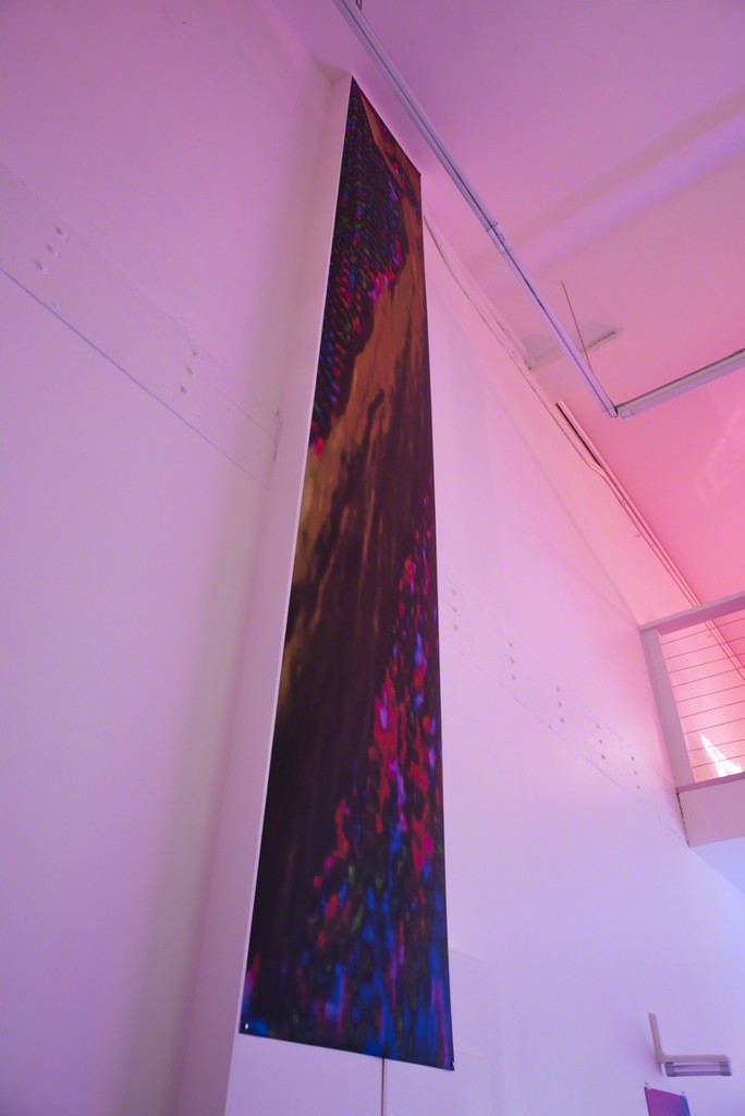 Paula Morales, "Myopic Sequence," 2017, 11 mil. matte polyester film digital print, 158 x 24 inches
Paula Morales, "Myopic Sequence," 2017, 11 mil. matte polyester film digital print, 158 x 24 inches