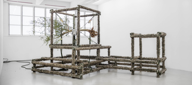 Siobhan Hapaska, ‘a wolf, an olive tree and circumstances’, 2014, Installation, Aluminium tubing, forged scaffold fittings, 2" military ratchet straps, artificial wolf fur, vibratory motor, electrical components, Olive tree, Andréhn-Schiptjenko