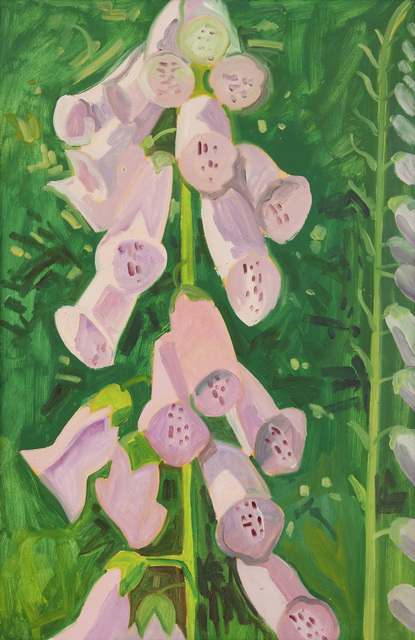 Lois Dodd, ‘Foxgloves’, 1987, Painting, Oil on linen, Alexandre Gallery