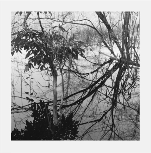 Jennifer Marshall, ‘Reflections I’, 2008, Jungle Press