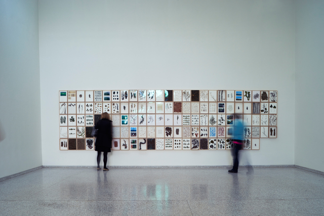 herman de vries, ‘from the language of venice - a journal (Installation view)’, 2015, 56th Venice Biennale