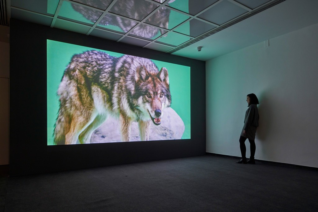 Jonas Brinker, „Standing Still“, 2019, Installationview Frankfurter Kunstverein 2019, Photo: Norbert Miguletz, © Frankfurter Kunstverein Jonas Brinker, „Standing Still“, 2019, Installationview Frankfurter Kunstverein 2019, Photo: Norbert Miguletz, © Frankfurter Kunstverein