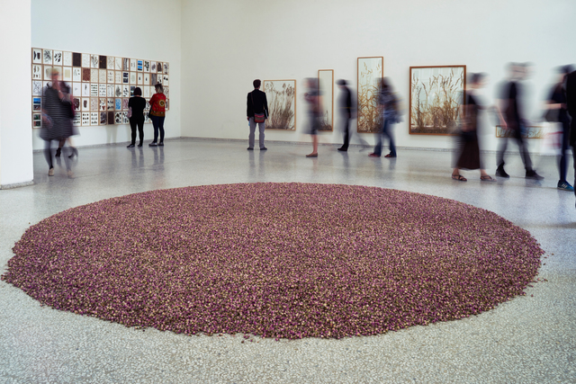 herman de vries, ‘108 pound rosa damascena (Installation view)’, 2015, 56th Venice Biennale