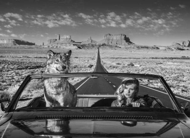 David Yarrow, ‘Road Trip’, 2018, Photography, Archival Pigment Print, Hilton Asmus