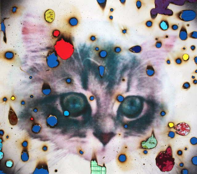 Miyoshi Barosh, ‘I ♥ Kitties (blue)’, ca. 2013, Drawing, Collage or other Work on Paper, Burned digital print with collage, Luis De Jesus Los Angeles