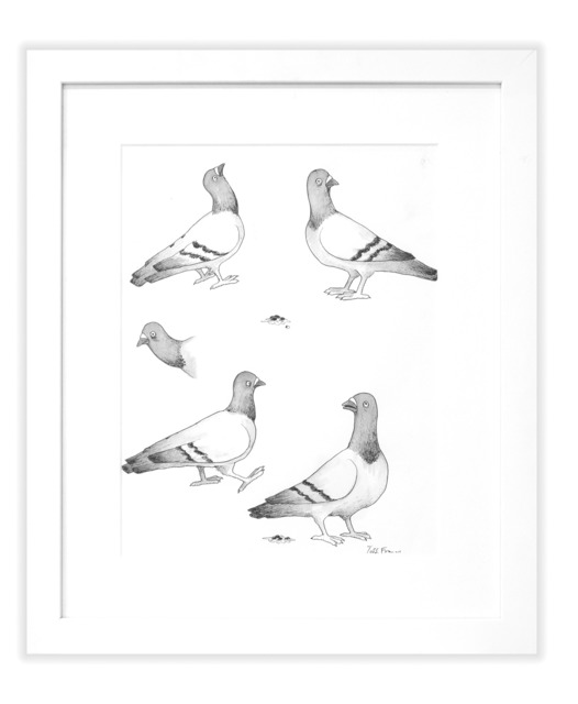 Todd Francis, ‘B/W BOUTIQUE PIGEONS’, Subliminal Projects