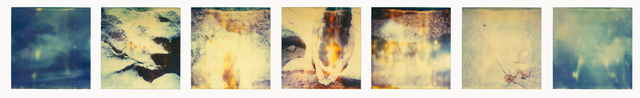 Stefanie Schneider, ‘Planet of the Apes’, 1999, Photography, 7 analog C-Prints, hand-printed by the artist, based on 7 Polaroids, not mounted, Instantdreams