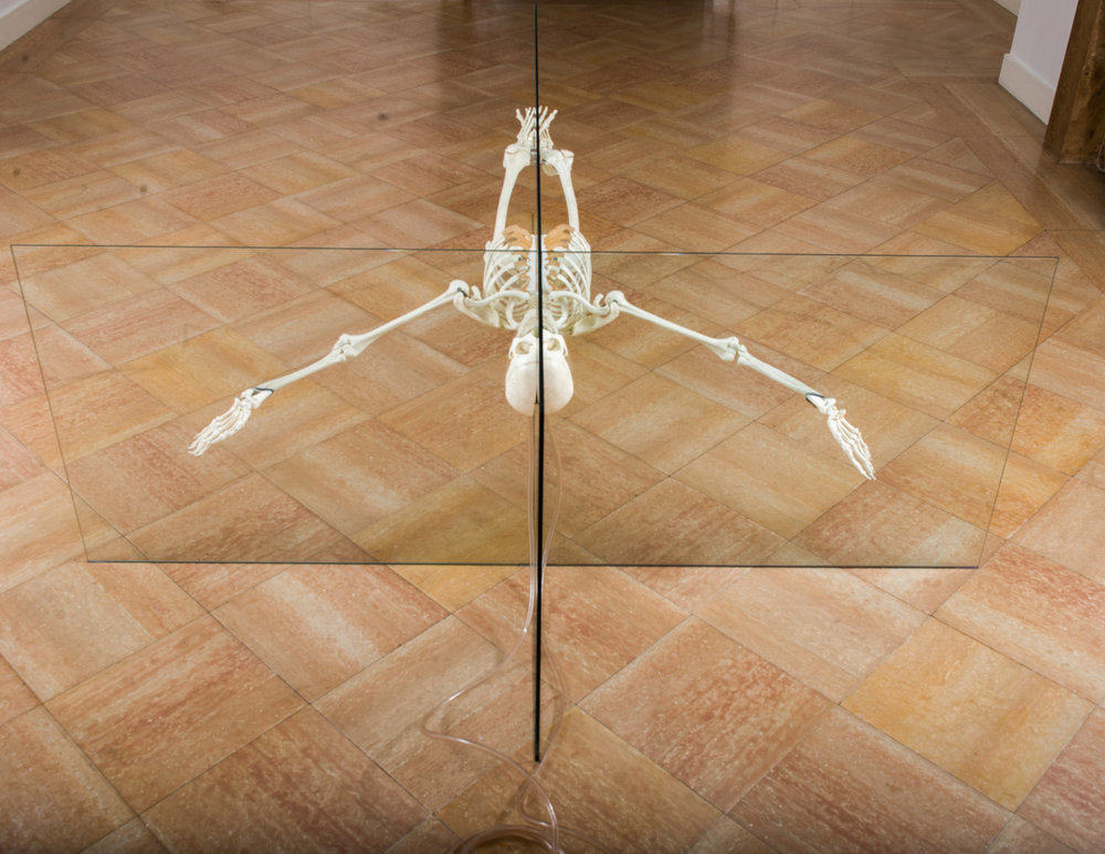 DAMIEN HIRST
"Rehab is for Quitters", 1998-1999 DAMIEN HIRST
"Rehab is for Quitters", 1998-1999
