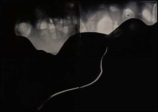 Nadezda Nikolova-Kratzer, ‘Elemental Forms, Landscape no. 30’, 2018, Photography, Wet Plate Collodion, HackelBury Fine Art