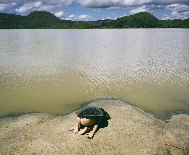 Scarlett Hooft Graafland, ‘Turtle’, 2012-2013, Photography, Inkjet print mounted on Dibond, Galerie XII