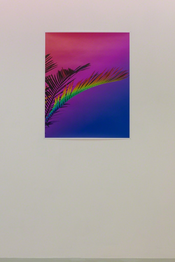 Installation view, Signe Pierce 'Faux Realities' at Annka Kultys Gallery, London, 2017 Photo: Annka Kultys Gallery (Damian Griffiths) Installation view, Signe Pierce 'Faux Realities' at Annka Kultys Gallery, London, 2017 Photo: Annka Kultys Gallery (Damian Griffiths)